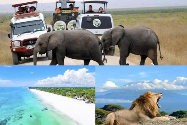 4 Days 3 Nights Amboseli National Park , Mt. Kilimanjaro View & North Coast Beach Safari