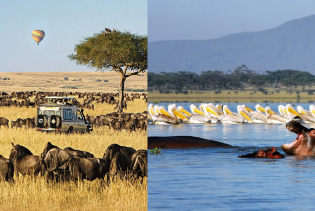 4 Days 3 Nights Maasai Mara and Lake Naivasha Group Joining Safari.