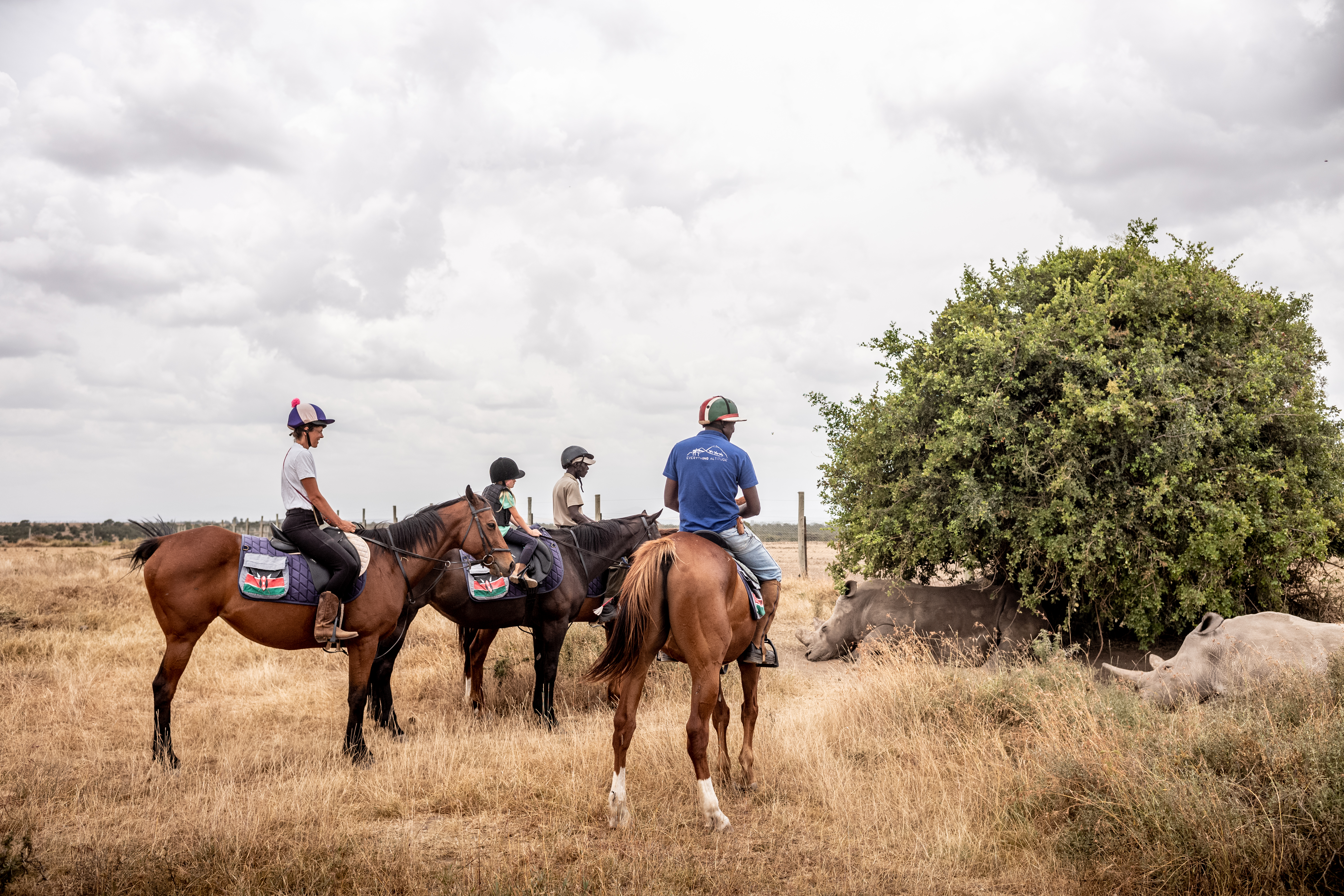 Day Trip to Ol Pejeta and Solio Conservancy  Horse Riding Tour