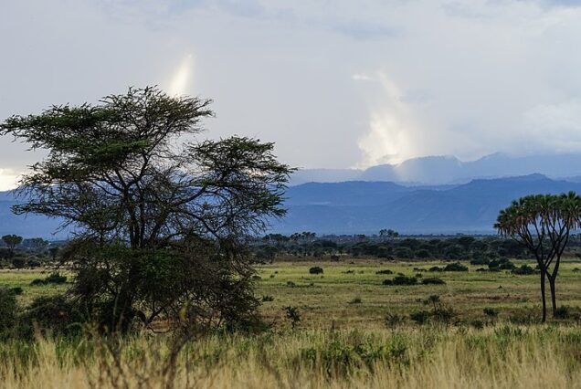 3 Days Meru National Park
