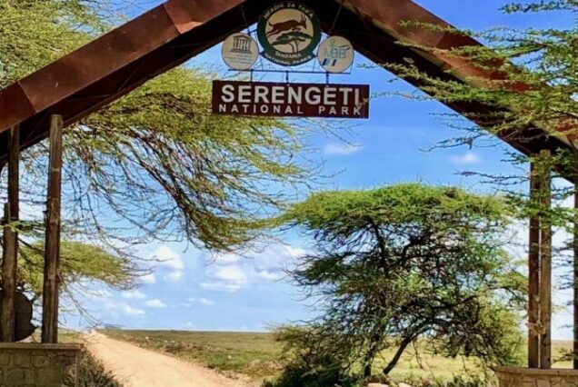 4 Days Serengeti Wildlife Safari