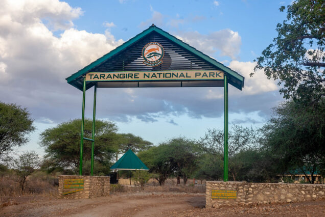 3 Days Tanzania Safari TarangireNational Park / NgoroNgoro Crater / Lake Manyara National Park Luxury Safari